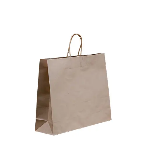 Boutique Brown Twisted Handle Bag