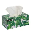 Facial Tissues 2 Ply 200 Pack White