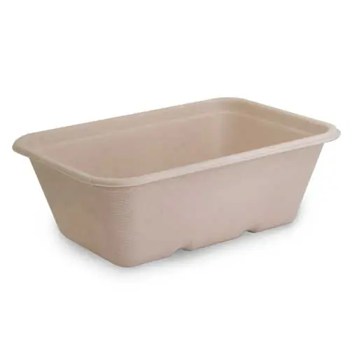 Sugarcane Takeaway Container 750ml