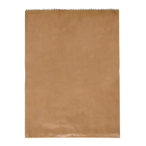 [03-FB12] 12F Flat Brown Paper Bag