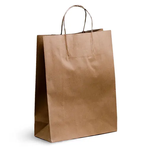 [BKPT350-F] Small Brown Twisted Handle Bag
