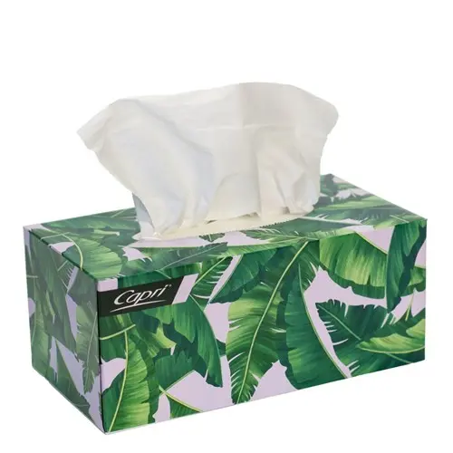 [C-TI0186] Facial Tissues 2 Ply 200 Pack White