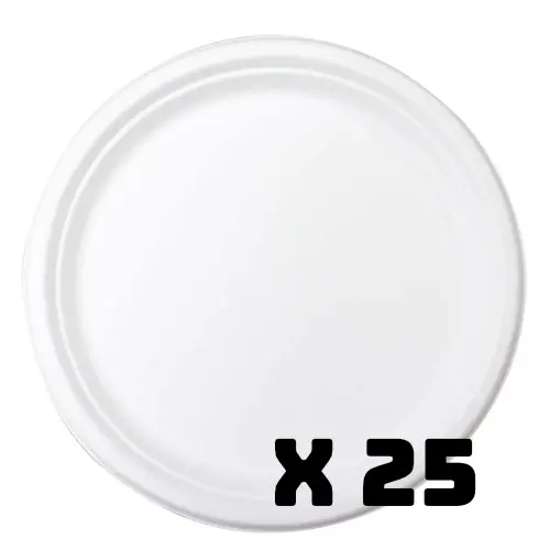 Party Pack Additional Plates x 25